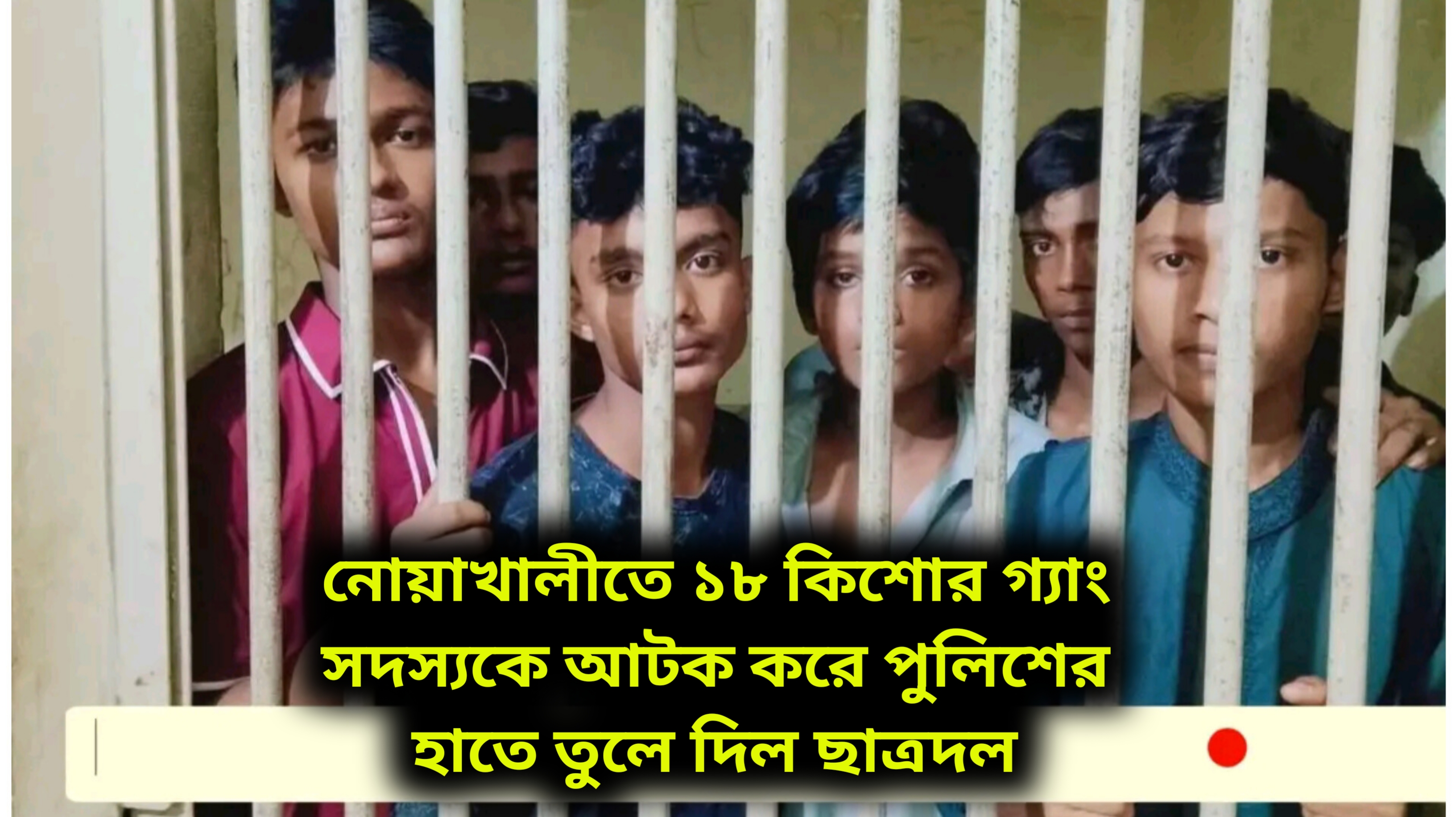 নোয়াখালীতে ১৮ কিশোর গ্যাং সদস্যকে আটক করে পুলিশের হাতে তুলে দিল ছাত্রদল