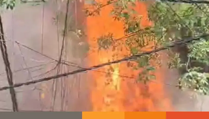 দিল্লিতে হোটেলে ভয়াবহ আগুন, নিহত অন্তত ২১